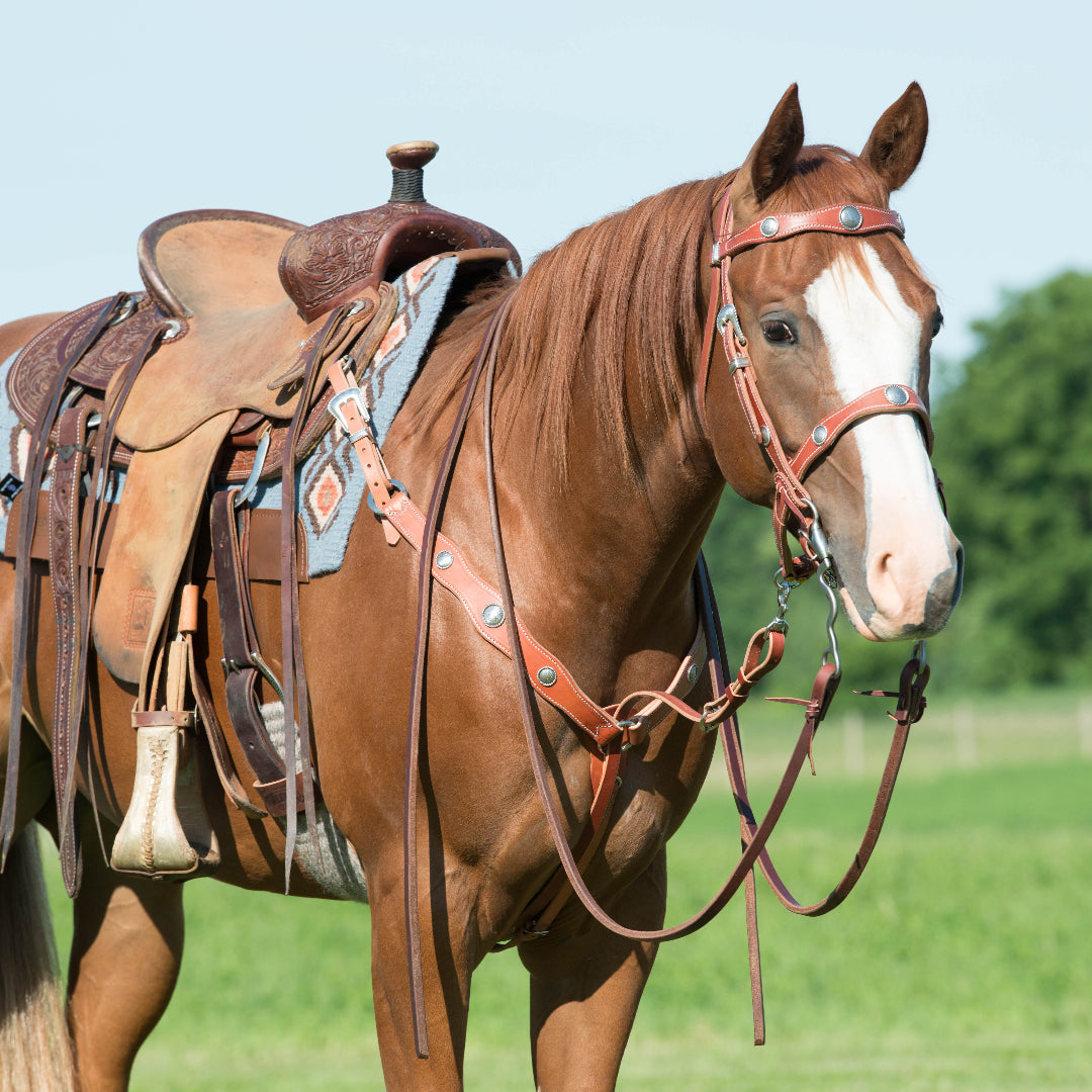 Skirting Leather Tie Down, Chestnut