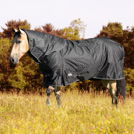 A Comprehensive Guide to Horse Blankets