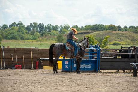 Synergy Performance Topper Saddle Pad on blue roan horse with roping chute