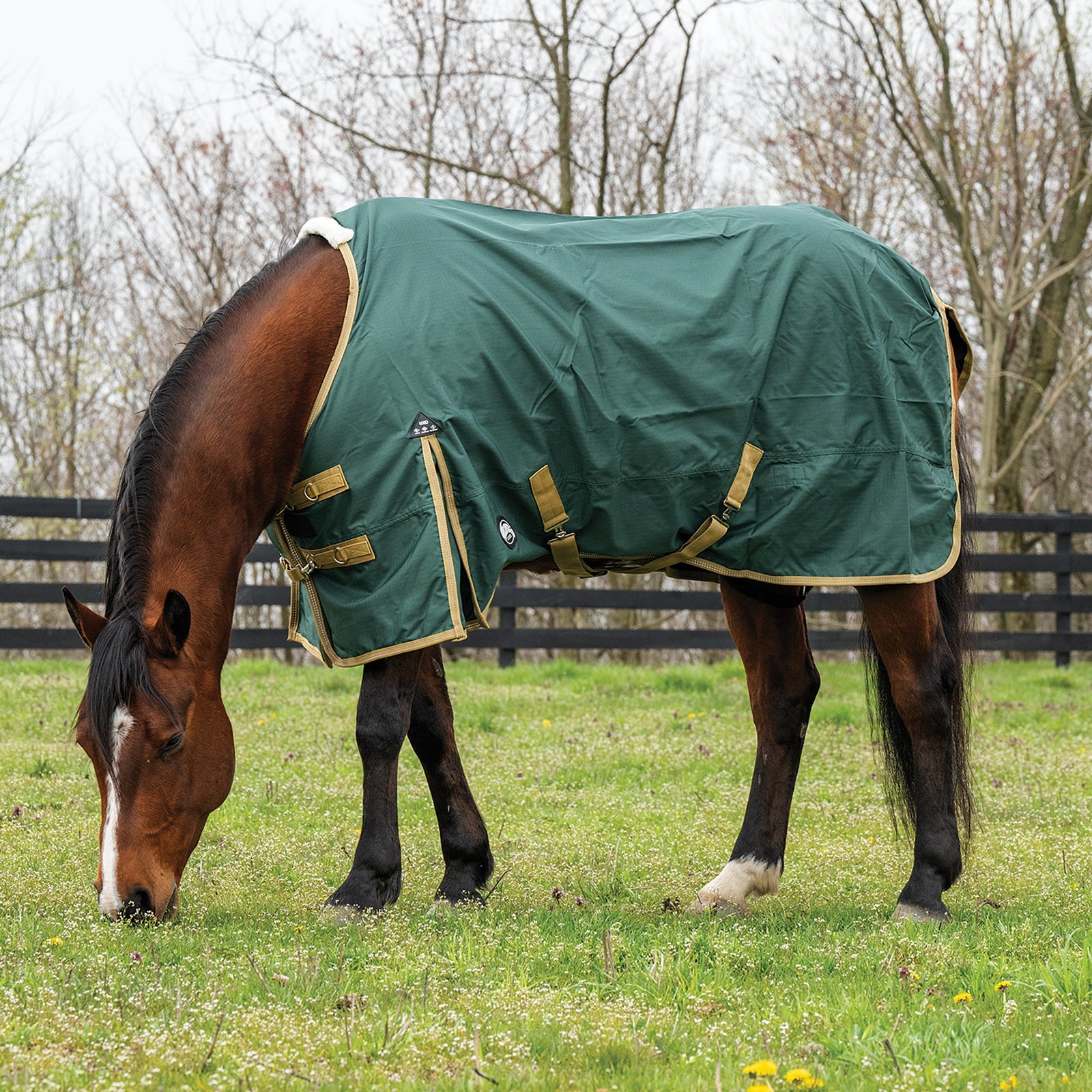 A Comprehensive Guide to Horse Blankets