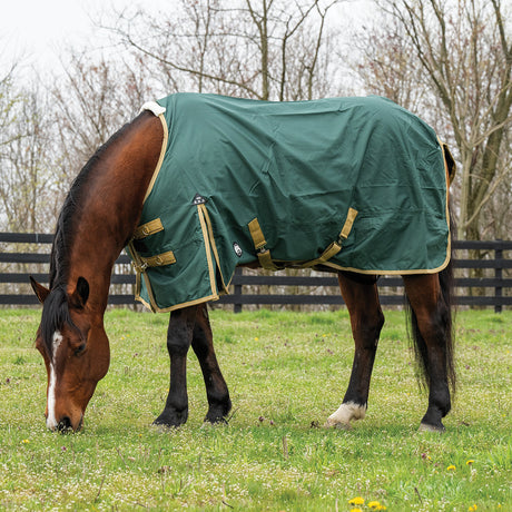 A Comprehensive Guide to Horse Blankets