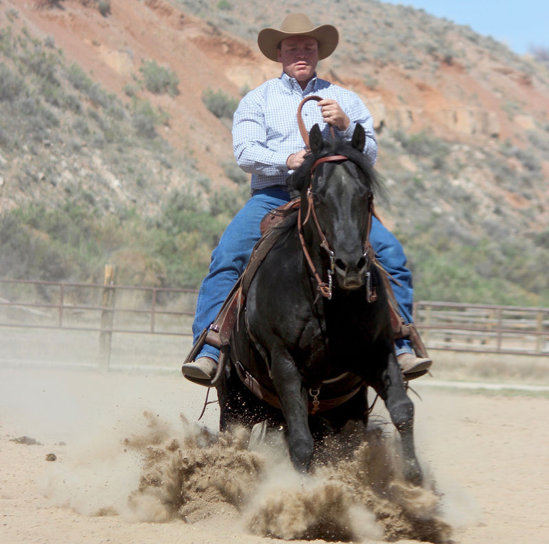 Ken McNabb’s Tips for Riding With Correct Body Position – Weaver Equine