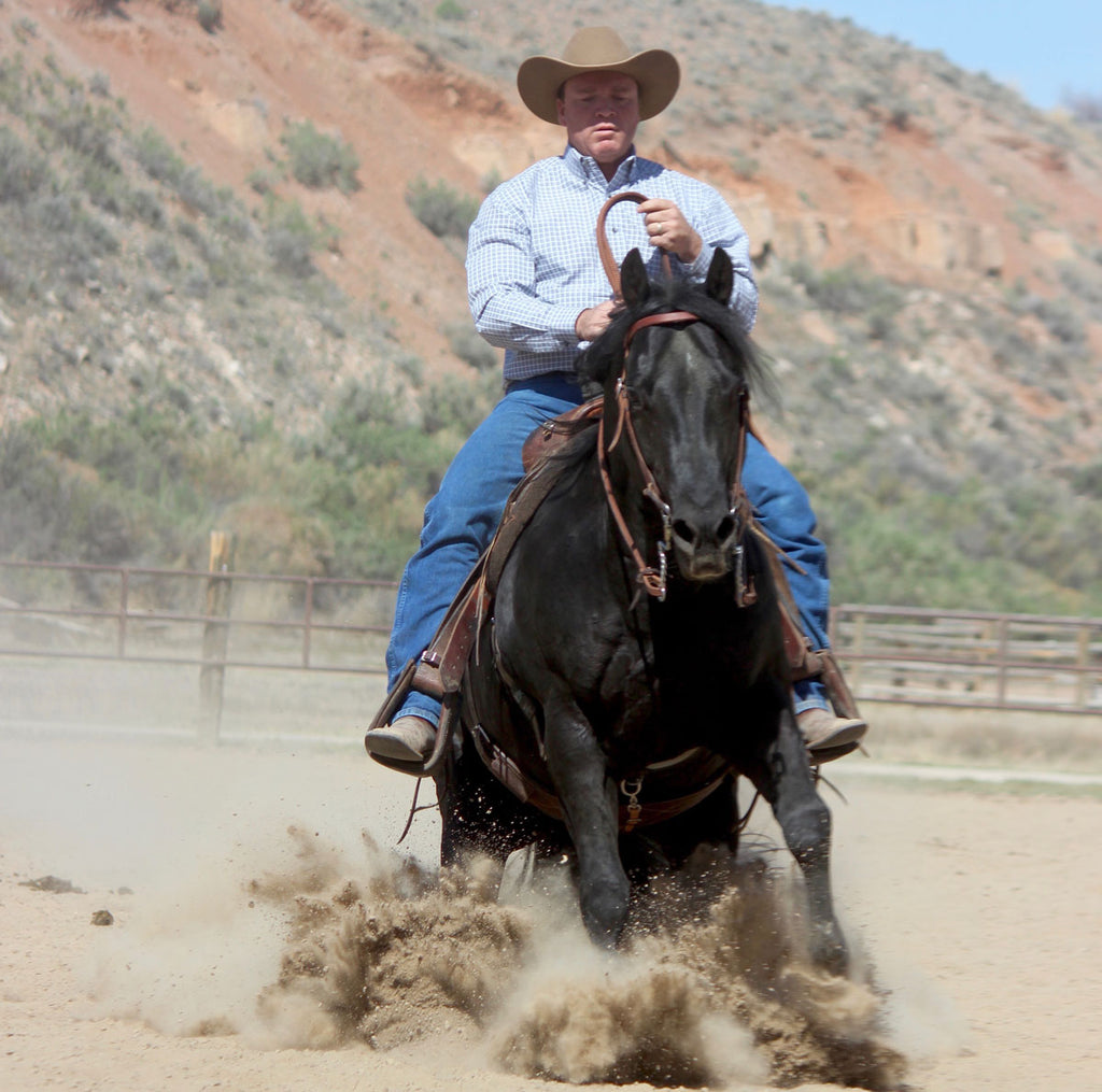 5 Tips from Ken McNabb on Riding Your Horse with Correct Body Position