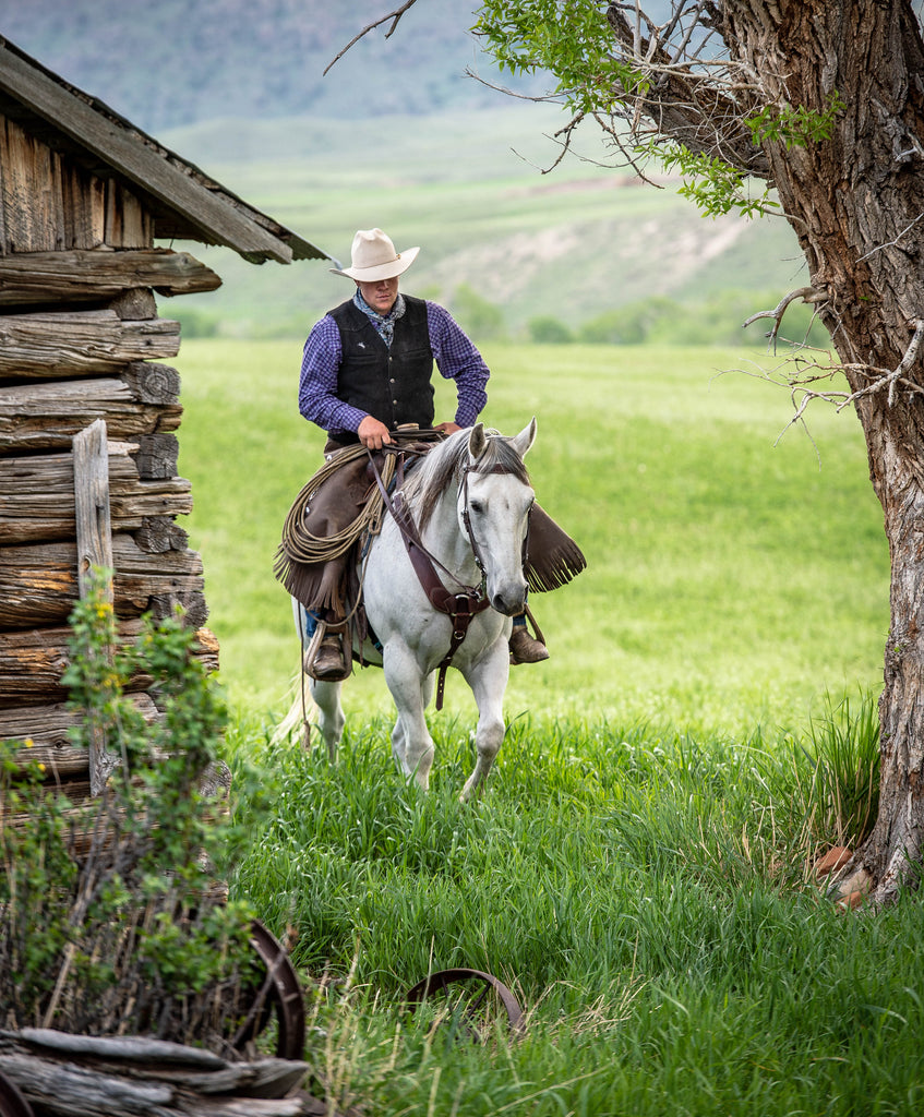 12th Annual Diamond-McNabb Ranch Horse Sale to be Hosted Saturday, June 6, 2020 in Wyoming