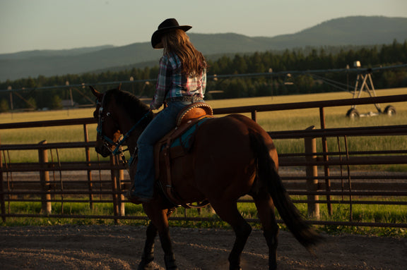 To the Horse that Almost Paralyzed Me…