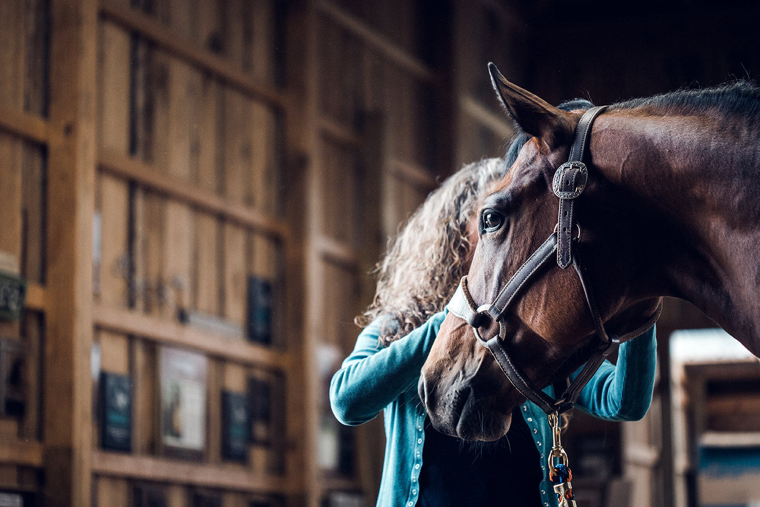 Stacy Westfall's Favorite Halter