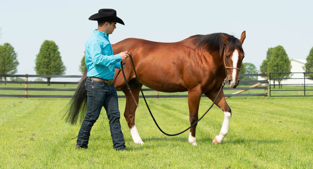 4 Top Reasons Your Horse’s Rope Halter Diameter Matters