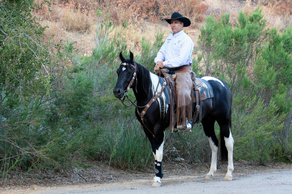Not so Scary Trails: Being the Leader Your Horse Needs