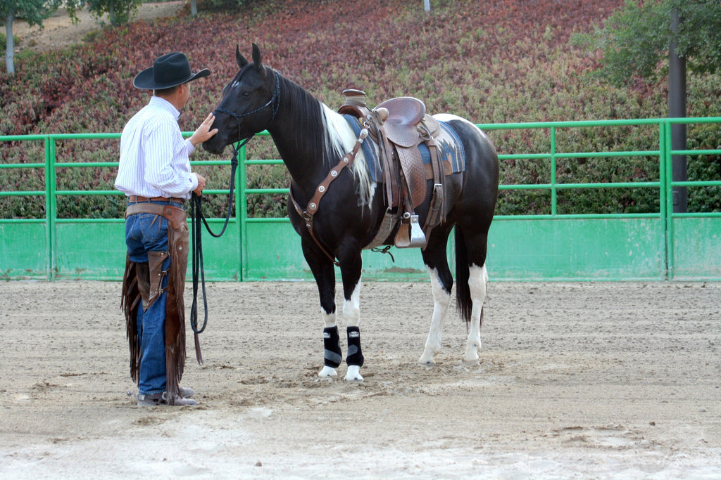 When Teaching Horsemanship