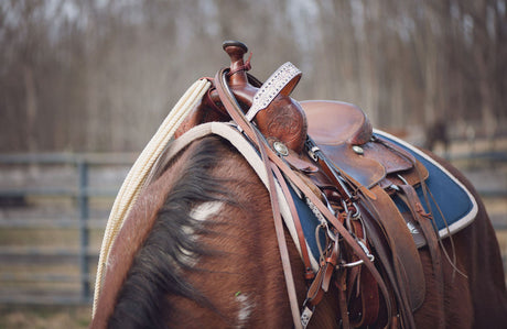 How to Fix a Saddle that Doesn't Fit Right