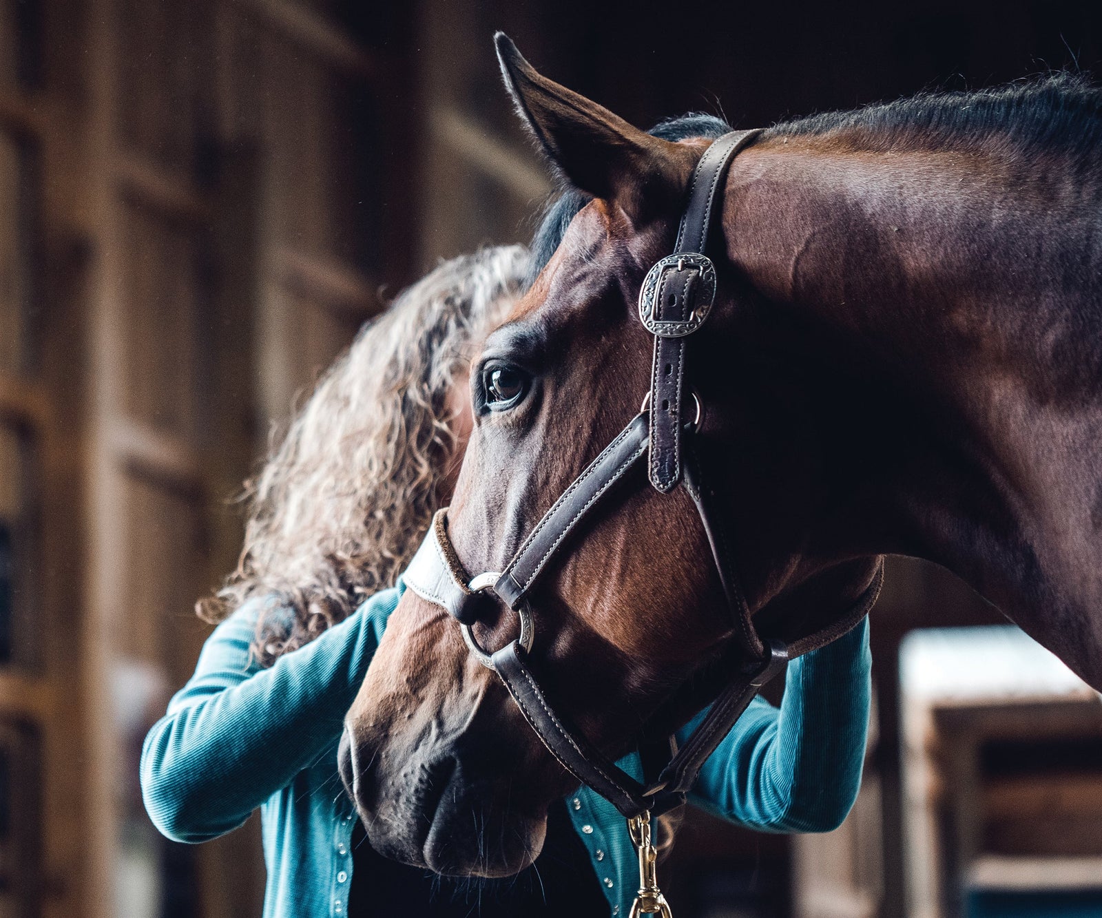Teaching a Horse to Tie
