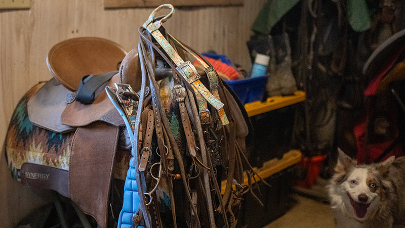 Tack Room Spring Cleaning