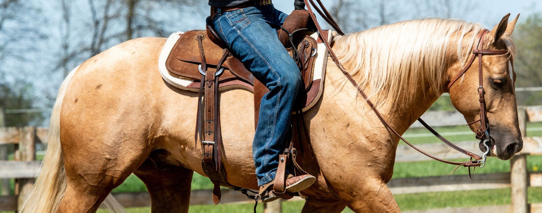 Horse Deworming: 5 Reasons Spring and Fall are Best