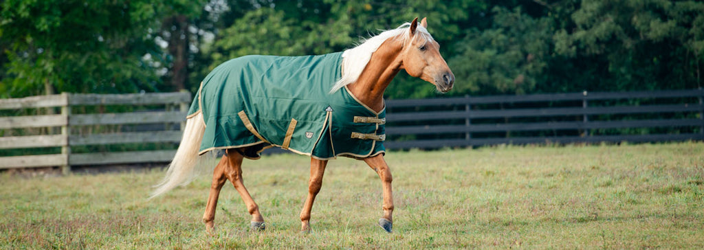 How to Measure a Horse for a Winter Blanket