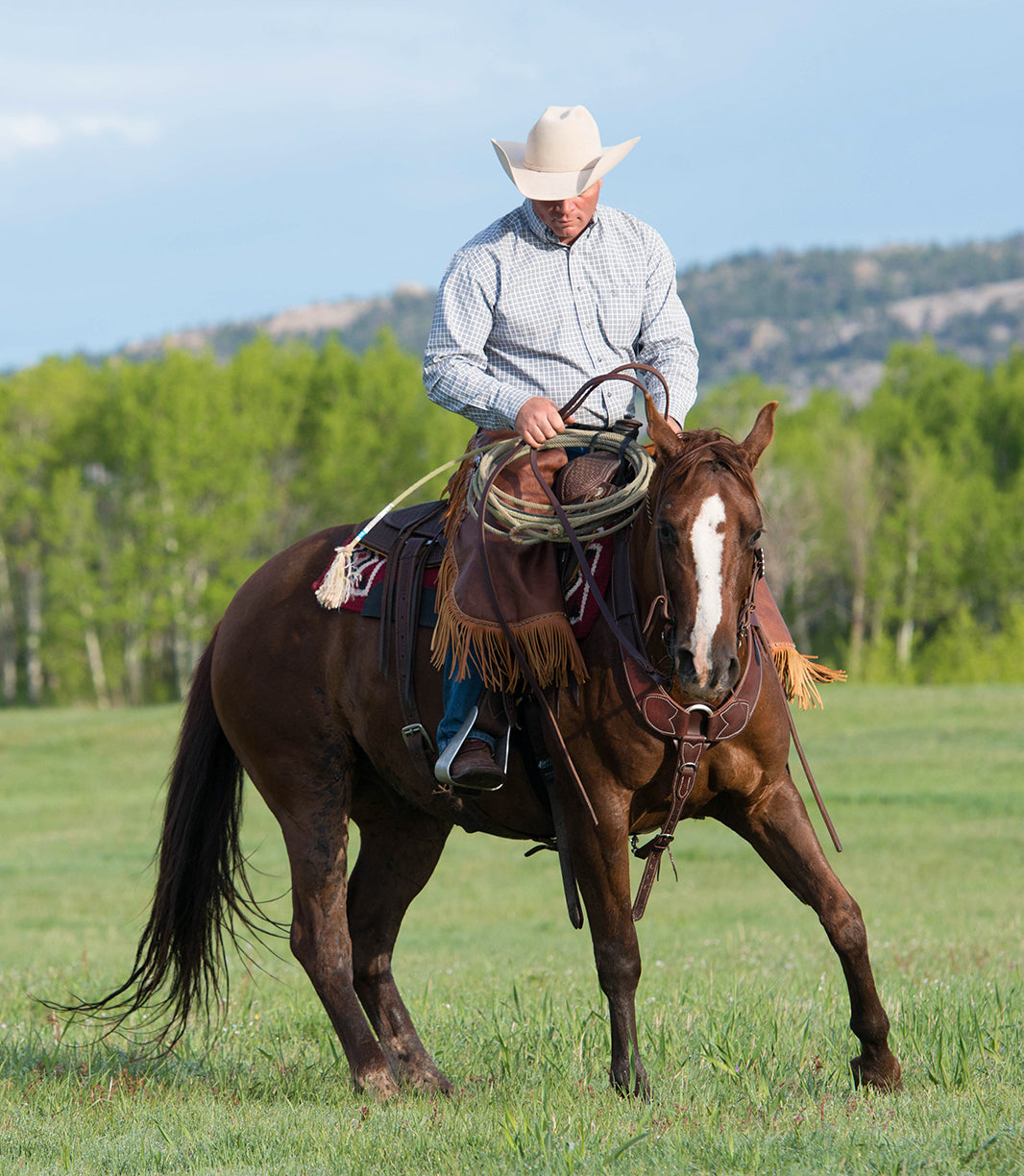 Tack Tips from Ken McNabb: Selecting Quality Leather Reins