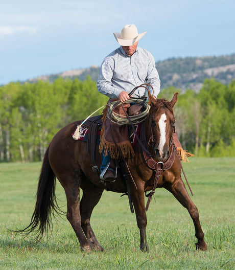 Tack Tips from Ken McNabb: Selecting Quality Leather Reins