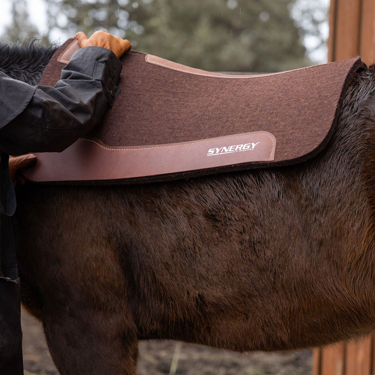 Saddle Fit and Sweat Patterns: How are They Related? – Weaver Equine