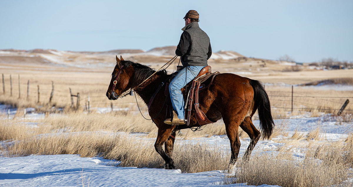 8 Winter Horseback Riding Tips for You and Your Horse – Weaver Equine