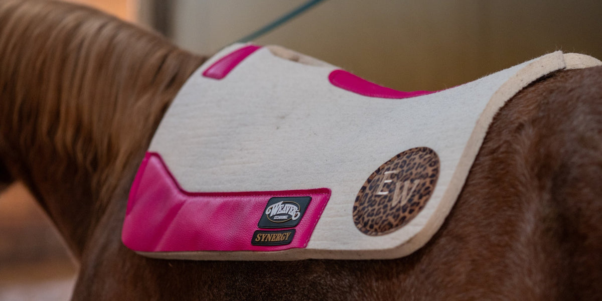 A Custom Made Saddle Pad on a Horse