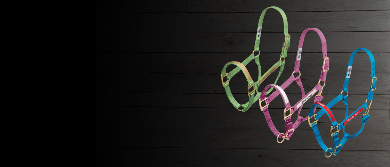 Custom Embroidered Nylon Halters