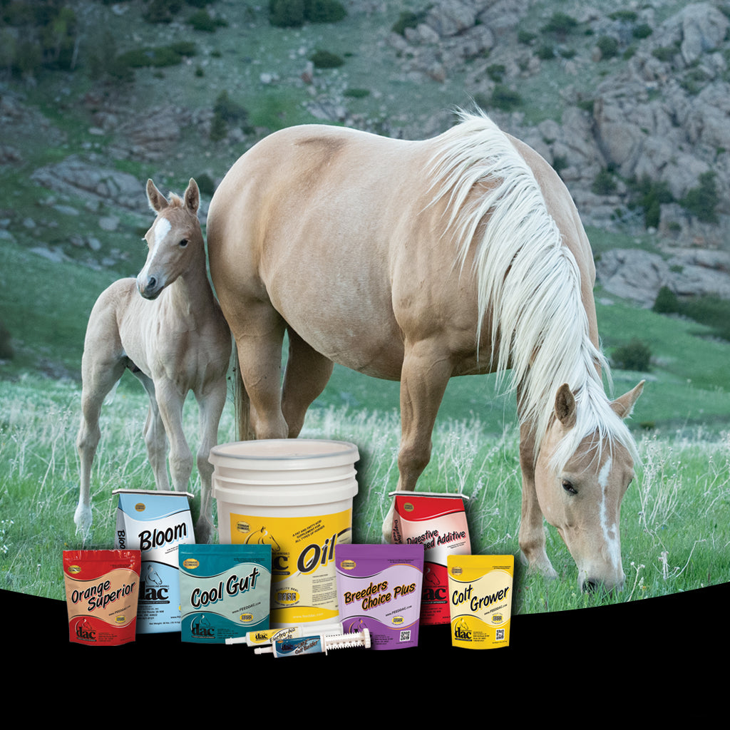 Horse Supplements, Vitamins & Pastes
