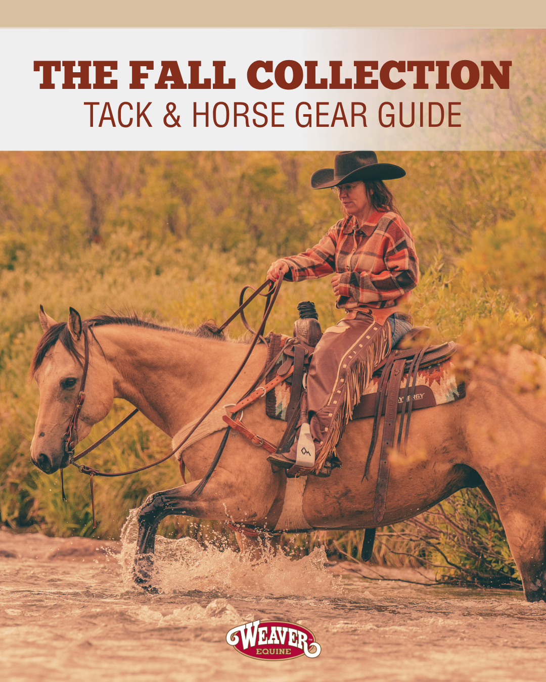 The Fall Collection: Tack and  Horse Gear Guide