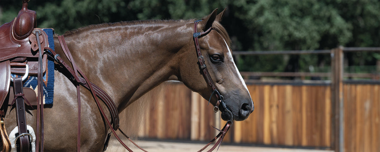 Saddlery Supplies