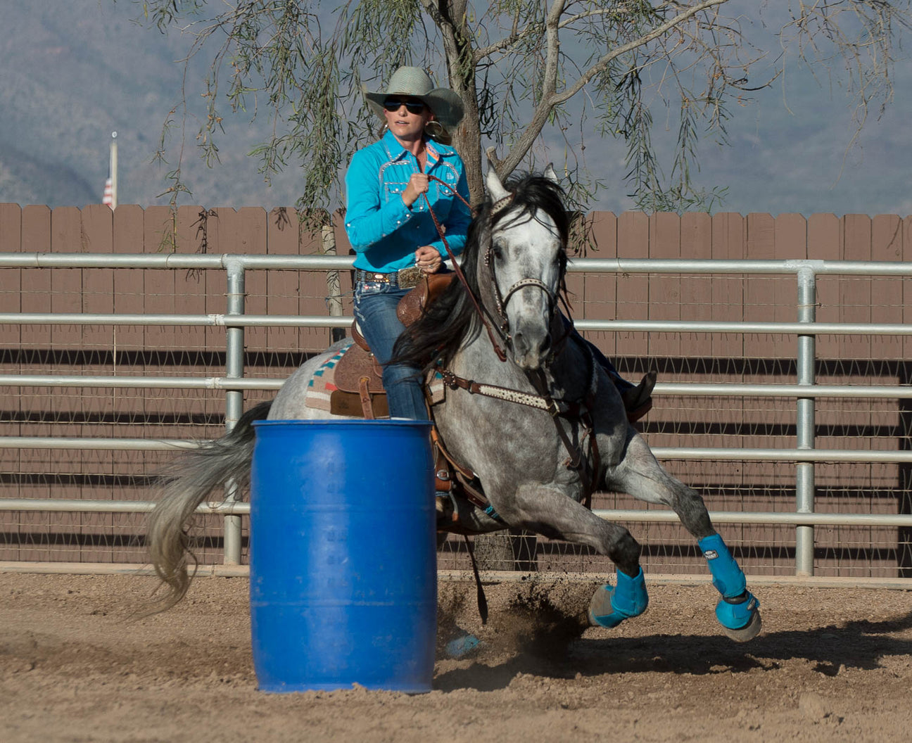 Horse Bit Guards