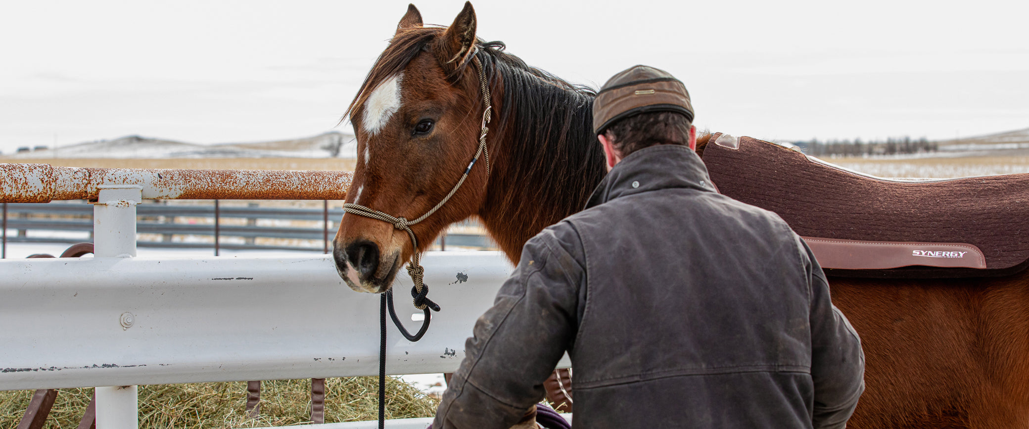 Cotton Lead Ropes for Horses | Weaver Equine