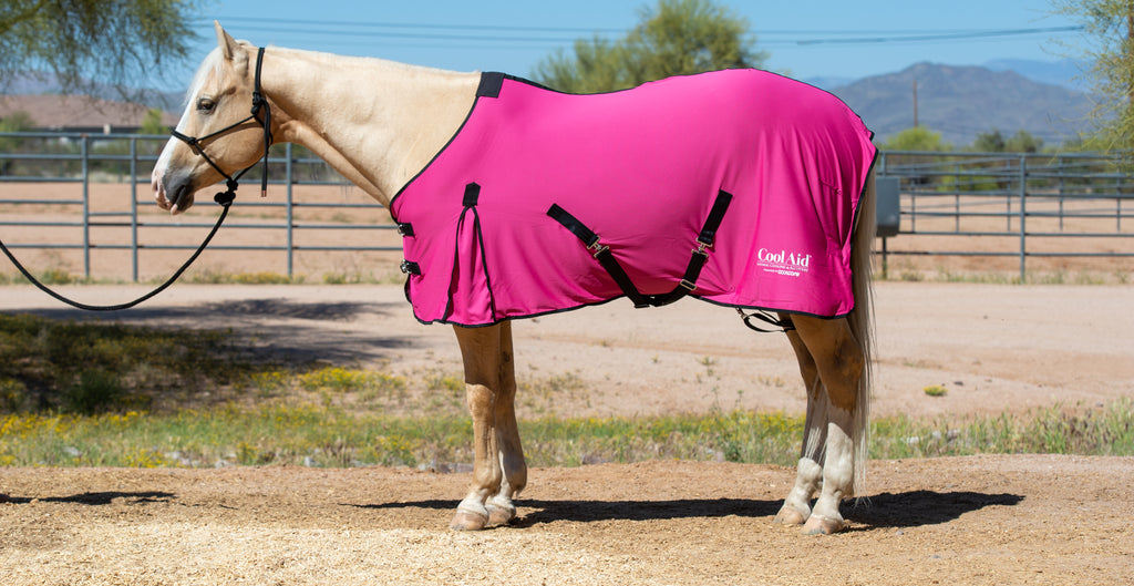 CoolAid® Horse Cooling