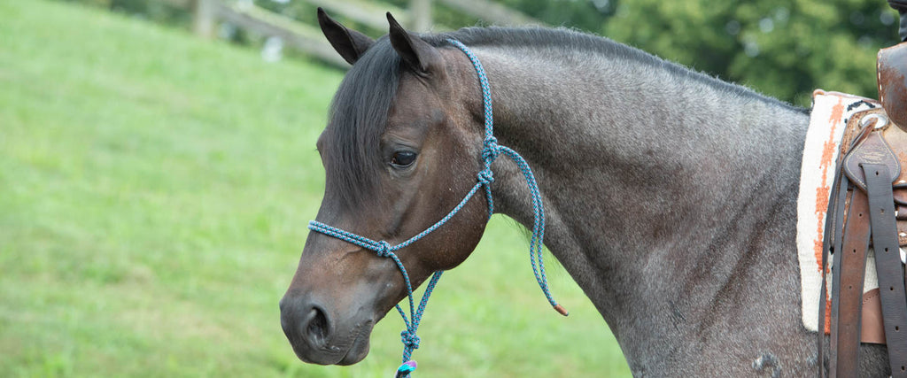 EcoLuxe™ Rope Halters