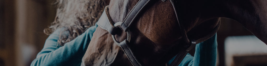 Horse Halters – Weaver Equine