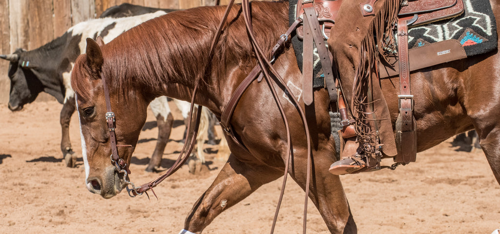 Leather Headstalls