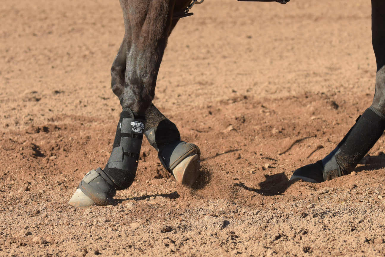 Horse Hoof Care
