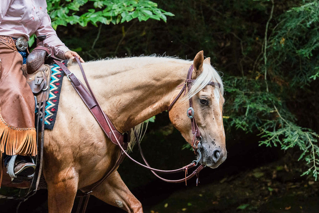 Leather Tack