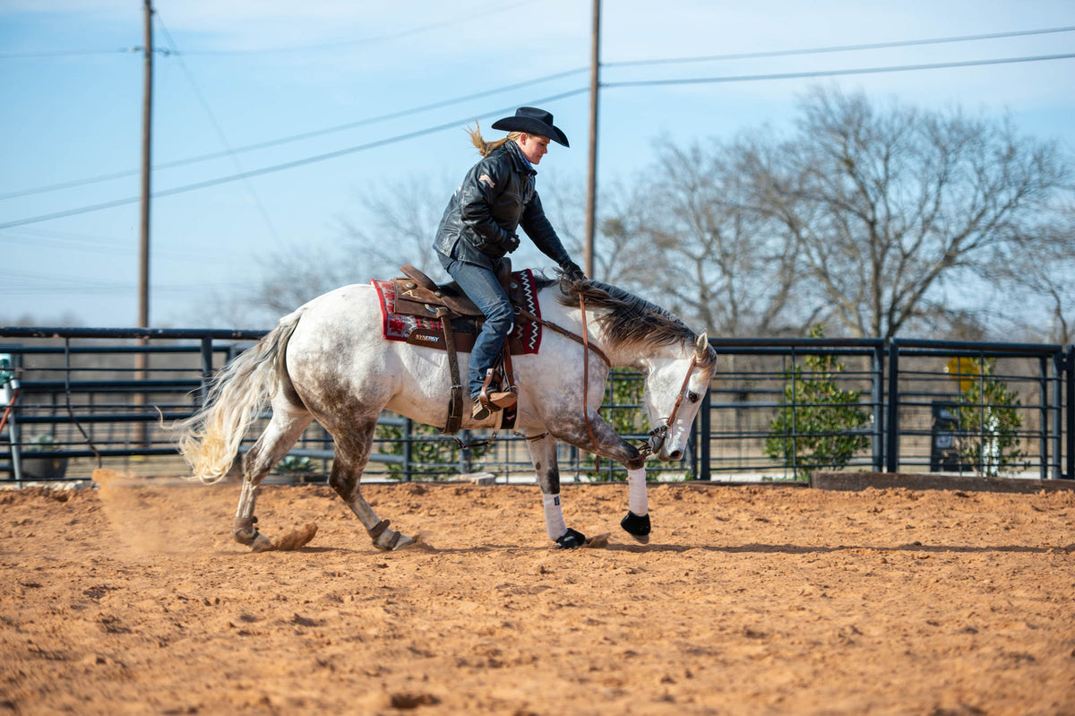 Horse Leg Wraps, Standing Wraps & Shipping Boots | Weaver Equine