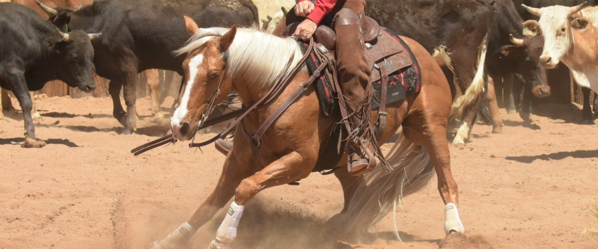 Leather Reins