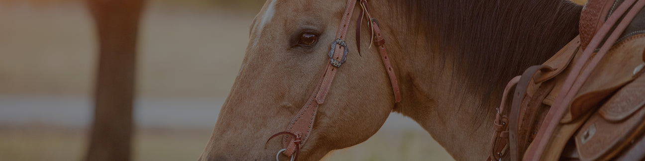 Rough Out Russet Harness