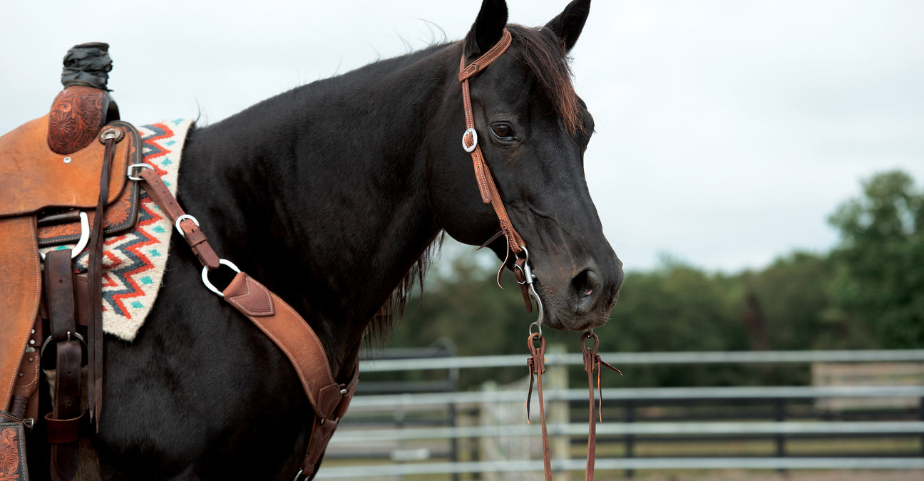Western Black Leather Tack Set de headstall & breast Collar Western Black Leather Tack Set de headstall & breast Collar