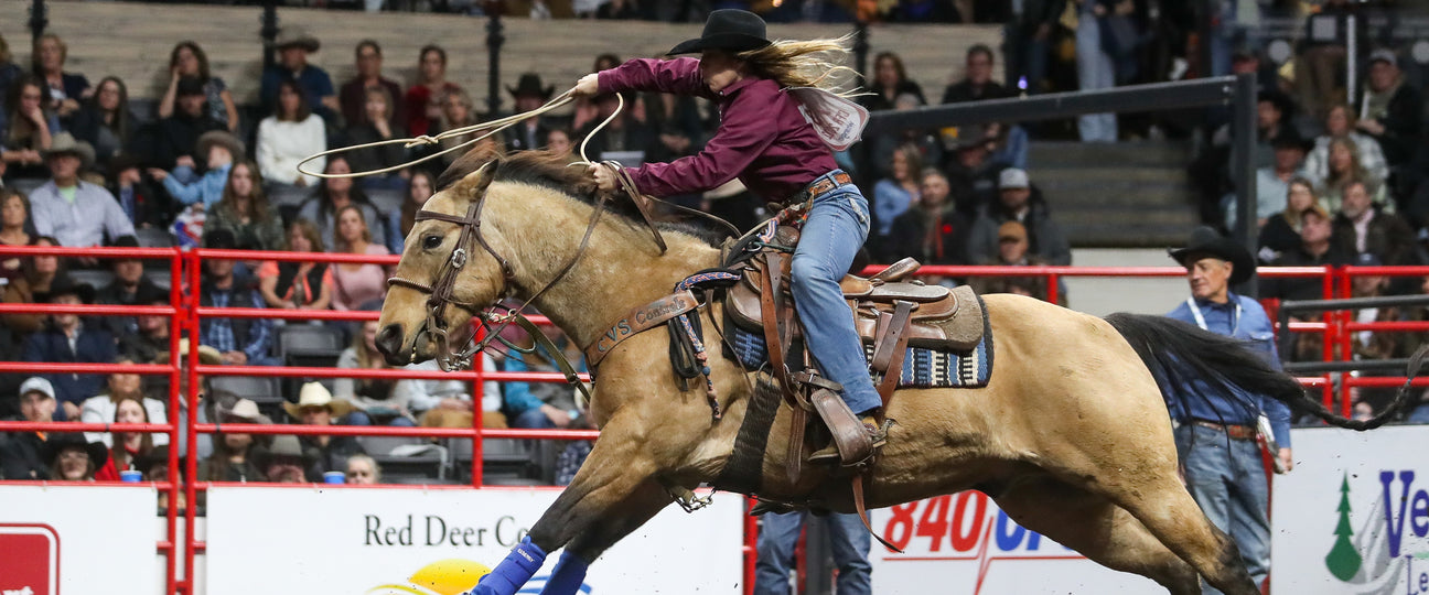 Saddle Blankets