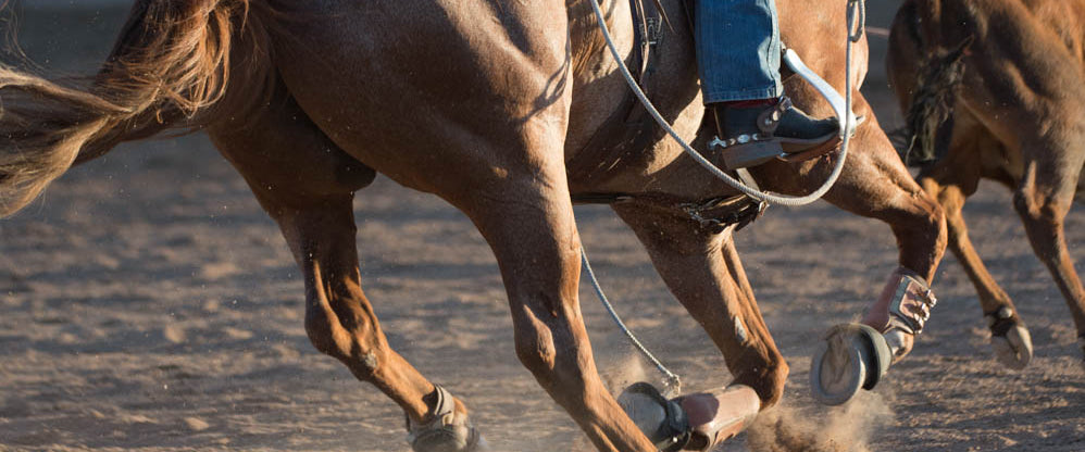 Splint Boots