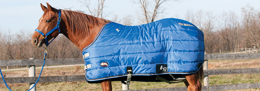Premium Winter Stable Blankets for Warmth - Weaver Equine