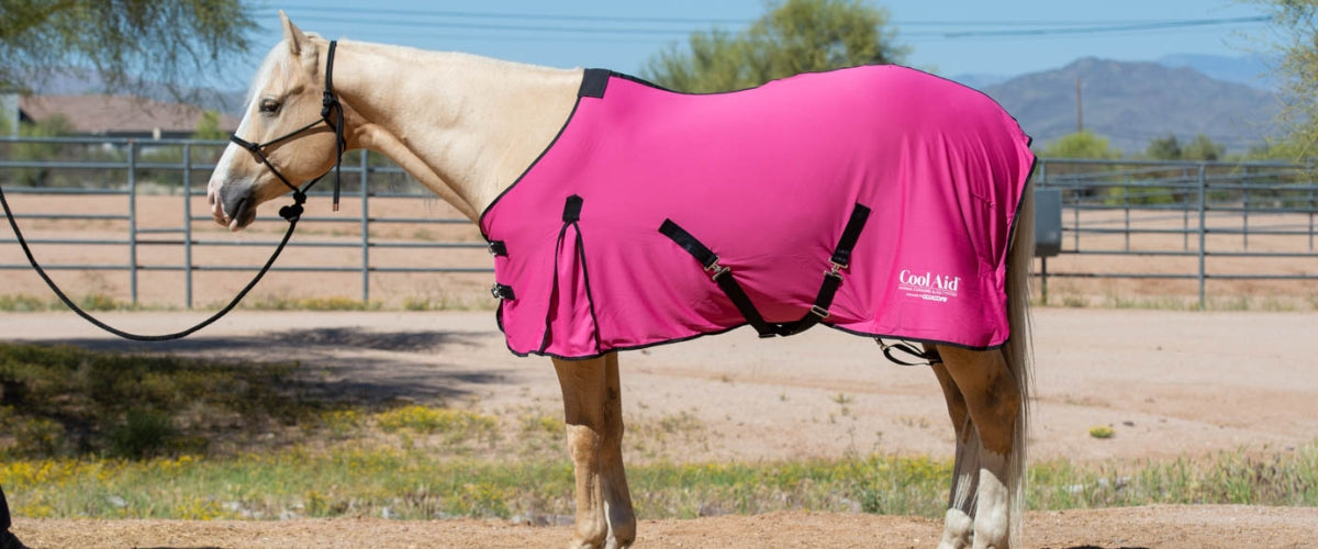 Horsewear