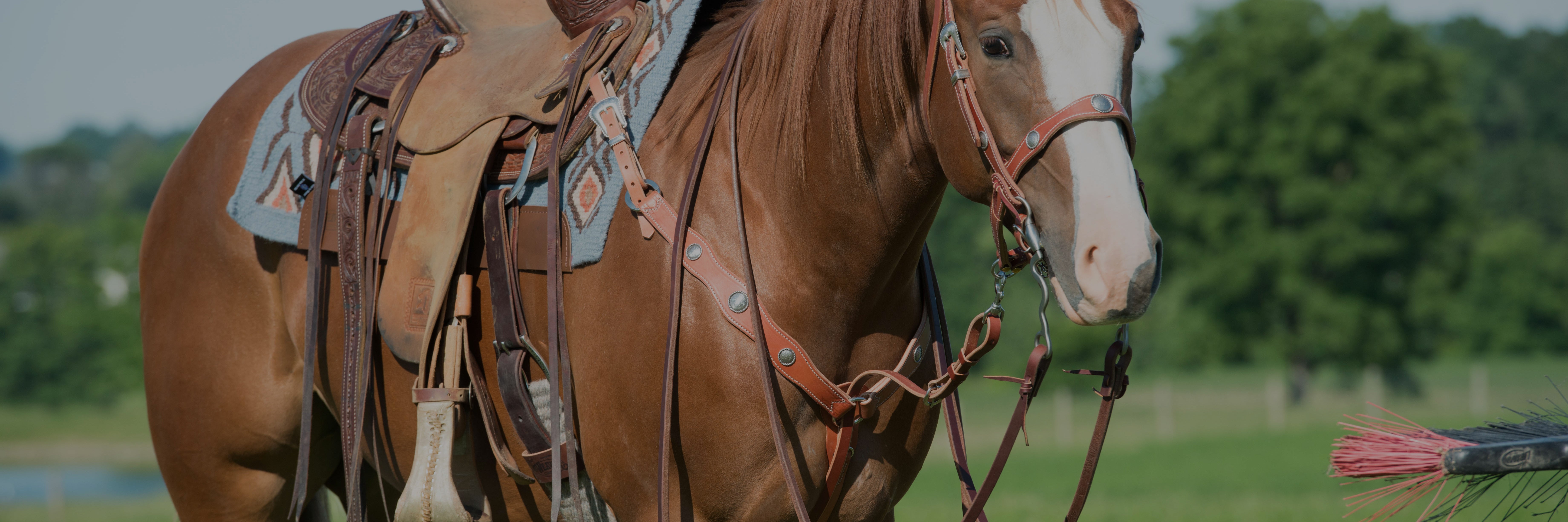 Premium Leather Horse Tie Down Ropes Weaver Equine