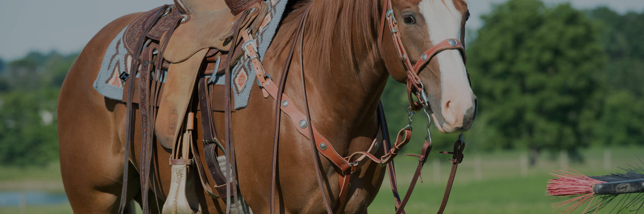 Horse Tie Downs
