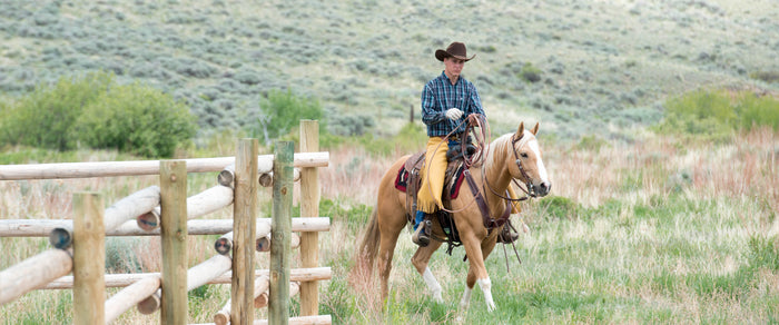 Working Ranch & Rodeo Gear | Weaver Equine