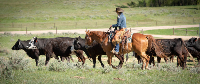 Horse Whips, Riding Crops & Quirts | Weaver Equine
