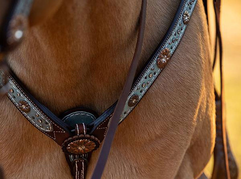 Leather Tack Gift Ideas