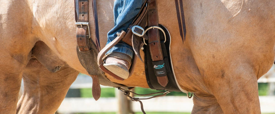 Back Cinches | Weaver Equine