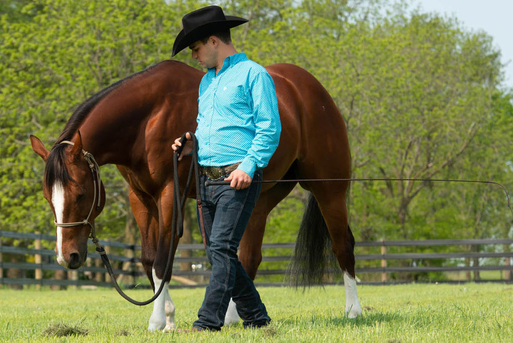 Silvertip Transition Halter Offer